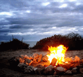 Feu de joie