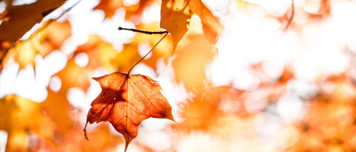 Lâcher prise feuille