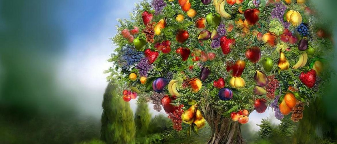 Jardins d'abondance Estivales Biodanza 2019