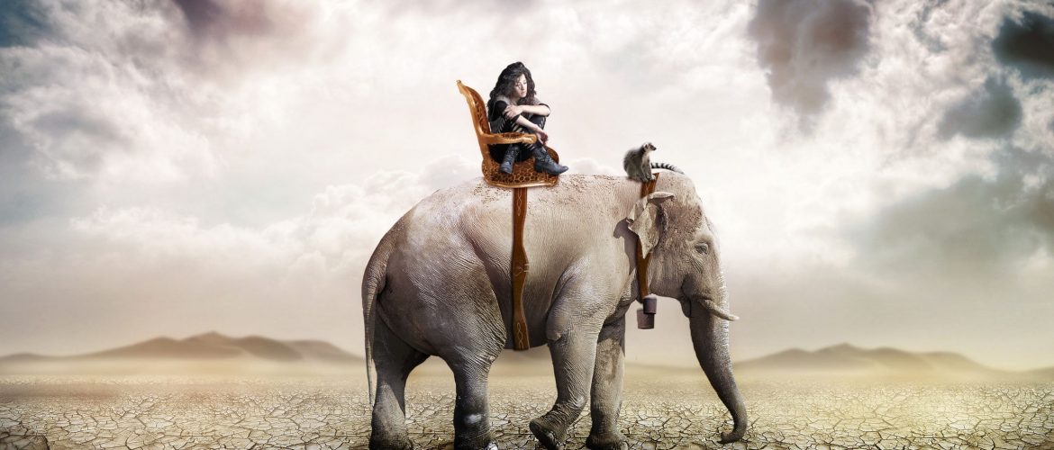 Eléphant force de vie destruction