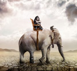 Eléphant force de vie destruction