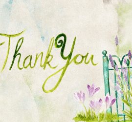 Gratitude