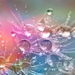 perles de ressourcement