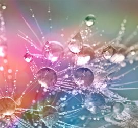 perles de ressourcement