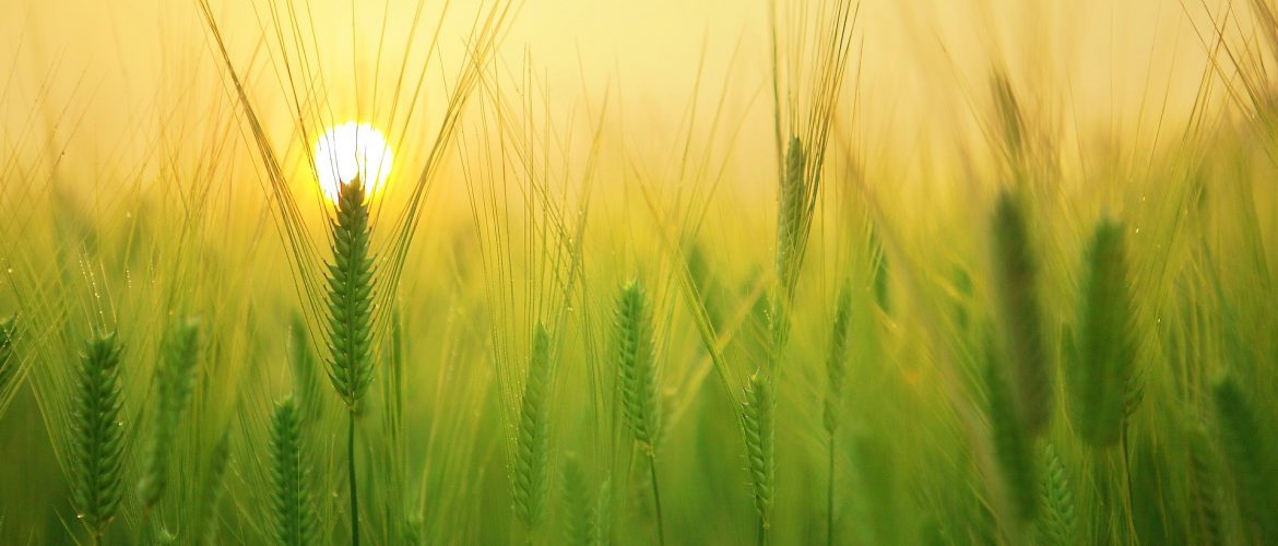 Biodanza confinement Poésie