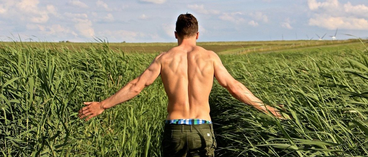 Annibal le Vital - Biodanza et vitalité