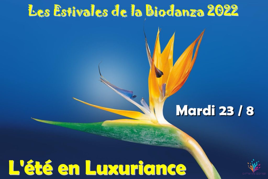 Vivencia estivale août 2022