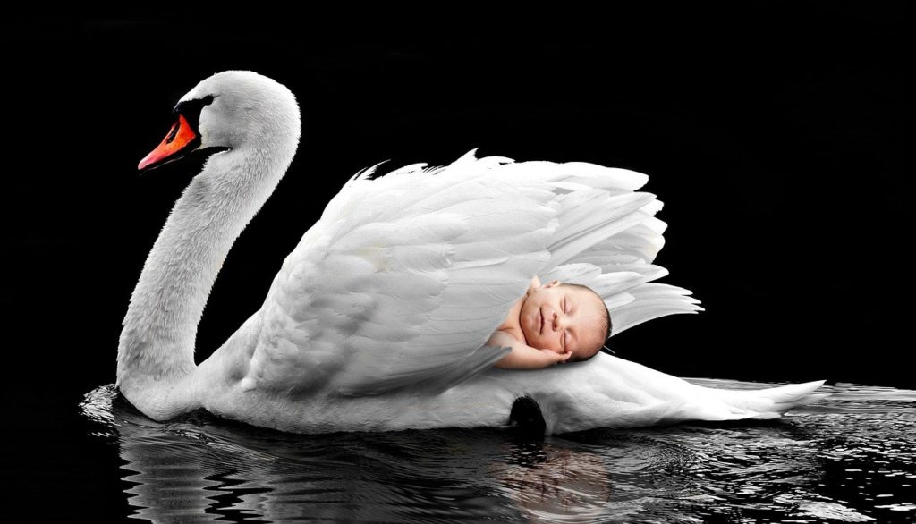 Nouvelle naissance