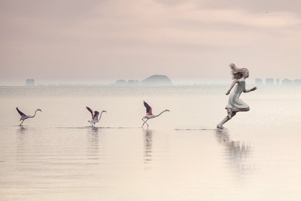 Cours hebdomadaire de Biodanza Initiation