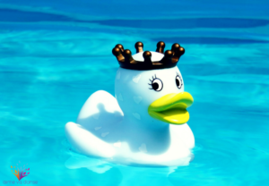 La joie de l'Eau Biodanza Estivale 2023