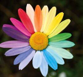 Avis et témoignages Biodanza