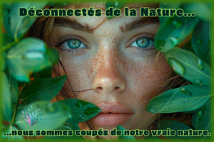 Biodanza Nature Déconnexion